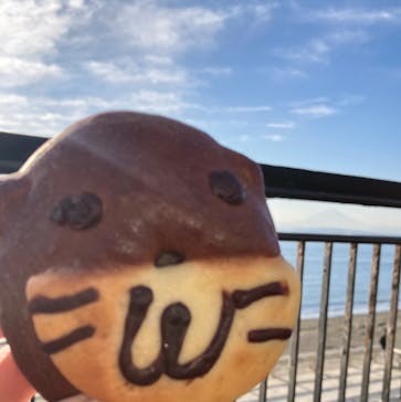 新江ノ島水族館に投稿された画像（2023/12/25）