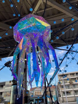 新江ノ島水族館に投稿された画像（2023/12/25）