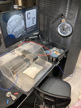 福井県立恐竜博物館に投稿された画像（2023/12/25）