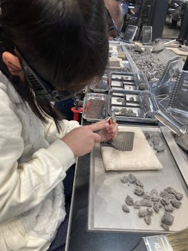 福井県立恐竜博物館に投稿された画像（2023/12/25）