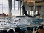 アクアワールド茨城県大洗水族館に投稿された画像（2023/12/25）