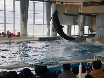 アクアワールド茨城県大洗水族館に投稿された画像（2023/12/25）