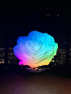 屋外展望台スカイプロムナードに投稿された画像（2023/12/25）