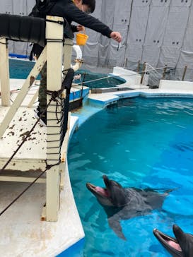 沖縄美ら海水族館（館内体験）に投稿された画像（2023/12/25）