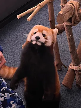 横浜・八景島シーパラダイスに投稿された画像（2023/12/25）