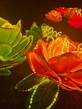 体験王国 むら咲むらに投稿された画像（2023/12/25）