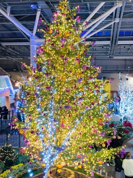 安城産業文化公園デンパークに投稿された画像（2023/12/25）