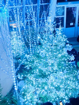 安城産業文化公園デンパークに投稿された画像（2023/12/25）