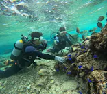 沖縄マリンサービス碧に投稿された画像（2023/12/25）