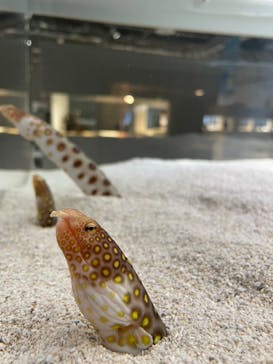 AOAO SAPPOROに投稿された画像（2023/12/25）