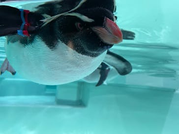 AOAO SAPPOROに投稿された画像（2023/12/25）