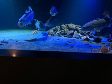 環境水族館アクアマリンふくしまに投稿された画像（2023/12/25）