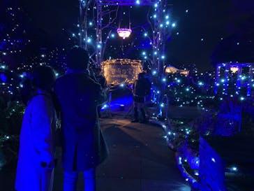 江の島シーキャンドルに投稿された画像（2023/12/25）