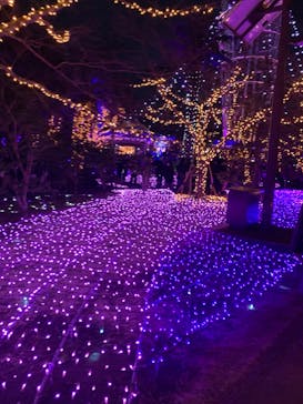 江の島シーキャンドルに投稿された画像（2023/12/25）