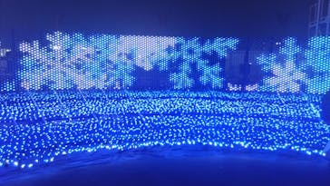 東京メガイルミに投稿された画像（2023/12/25）