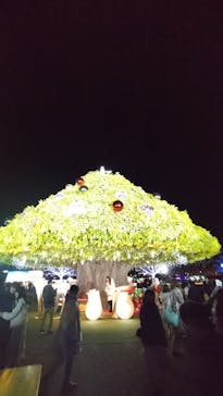 東京メガイルミに投稿された画像（2023/12/25）