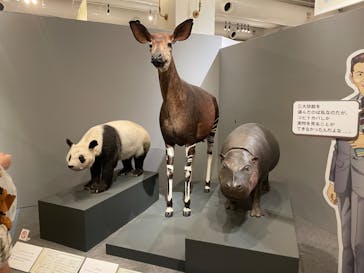 国立科学博物館に投稿された画像（2023/12/25）