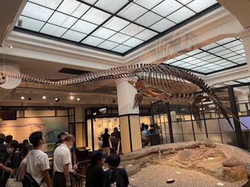 国立科学博物館に投稿された画像（2023/12/25）