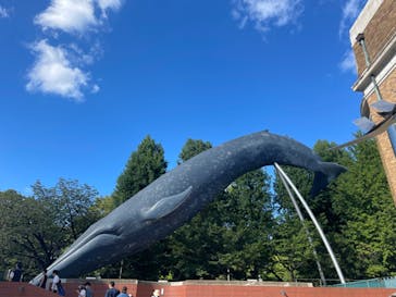 国立科学博物館に投稿された画像（2023/12/25）