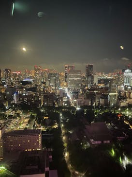 東京タワーに投稿された画像（2023/12/25）