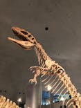 福井県立恐竜博物館に投稿された画像（2023/12/25）