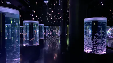 マクセル アクアパーク品川に投稿された画像（2023/12/25）