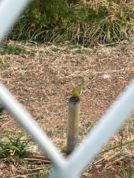 しながわ水族館に投稿された画像（2023/12/25）
