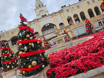 ラグーナテンボス ラグナシアに投稿された画像（2023/12/25）