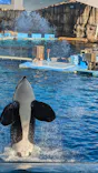 名古屋港水族館に投稿された画像（2023/12/25）