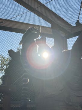 東武動物公園に投稿された画像（2023/12/25）