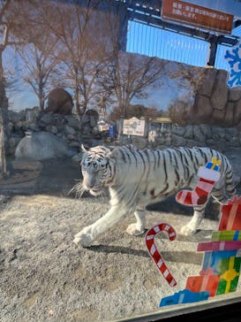 東武動物公園に投稿された画像（2023/12/25）