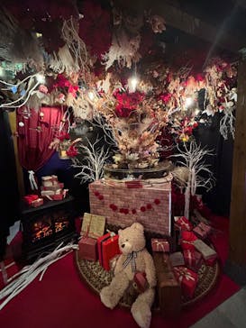 NARA KINGYO MUSEUMに投稿された画像（2023/12/25）