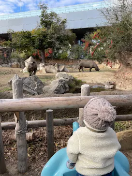 天王寺動物園に投稿された画像（2023/12/25）