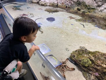沖縄美ら海水族館に投稿された画像（2023/12/25）