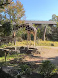 天王寺動物園に投稿された画像（2023/12/25）
