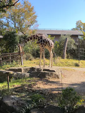 天王寺動物園に投稿された画像（2023/12/25）
