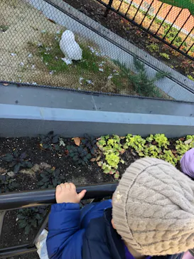 天王寺動物園に投稿された画像（2023/12/25）