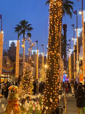 ひらかたパークに投稿された画像（2023/12/25）