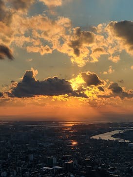 ハルカス300(展望台)に投稿された画像（2023/12/25）