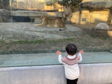 東武動物公園に投稿された画像（2023/12/25）