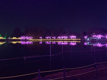 東武動物公園に投稿された画像（2023/12/25）