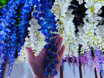 東京メガイルミに投稿された画像（2023/12/25）