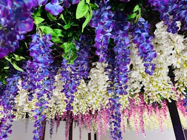 東京メガイルミに投稿された画像（2023/12/25）