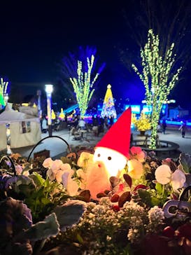 安城産業文化公園デンパークに投稿された画像（2023/12/25）