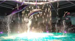 マクセル アクアパーク品川に投稿された画像（2023/12/25）
