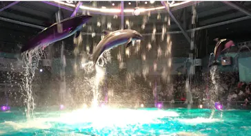 マクセル アクアパーク品川に投稿された画像（2023/12/25）