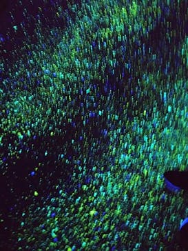 梅田スカイビル・空中庭園展望台に投稿された画像（2023/12/25）