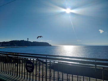 新江ノ島水族館に投稿された画像（2023/12/25）