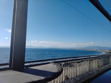 新江ノ島水族館に投稿された画像（2023/12/25）