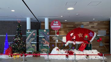 福井県立恐竜博物館に投稿された画像（2023/12/25）